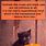 Halloween Cat Sayings