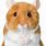 Hamster Stuffed Animal