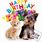 Happy Birthday Cute Dog and Cat