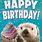 Happy Birthday Otter