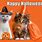 Happy Halloween Cat Meme