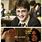 Harry Potter Snow Day Meme