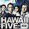 Hawaii Five-0 Season 2