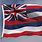 Hawaii State Flag Image