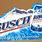 Head for the Mountains Busch Beer