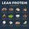 High Calorie High Protein Foods