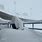 Highmark Stadium Snow