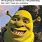 Hilarious Clean Shrek Memes