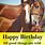 Horse Happy Birthday Wishes