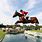 Horse Jumping Water Jumps