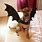 Hot Dog Bat Halloween