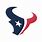 Houston Texans Skull Logo