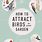 How to Attract Birds Book