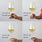 How to Correctly Hold a Wine Glass