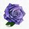 How to Draw a Purple Rose