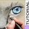 How to Draw a Realistic Cat Eye