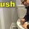 How to Flush a Toilet