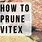How to Trim Vitex