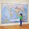 Huge World Wall Map