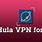 Hula VPN Download for Chrome