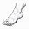 Human Foot Drawing