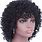 Human Hair Curly Natural Wigs for Black Women