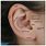 Human Outer Ear Anatomy