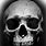 Human Skull Dark Photography