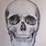 Human Skull Pencil Drawing