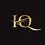 IQ Logo Design