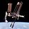 Images of International Space Station