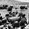 Invasion of Normandy Facts