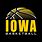 Iowa Hawkeyes Women's Basketball Logo