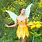 Iridessa Fairy Costume