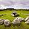 Irish Stone Circles