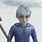 Jack Frost Rotg