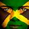 Jamaican Flag Face