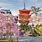 Japan Temple Cherry Blossom