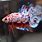 Japanese Betta Fish