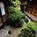 Japanese Garden Ideas Landscape Design