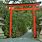Japanese Torii Gate for Garden