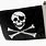 Jolly Roger Motorcycle Flags