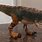 Jurassic Park Tyrannosaurus Rex Toy