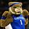 Kentucky Wildcats Basketball Mascot