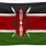 Kenya Flag Art