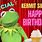 Kermit Birthday