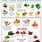 Kidney Stone Food Chart