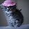 Kittens Wearing Hats