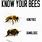 Know Your Bees Meme