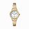 Kohl's Timex Watches for Women
